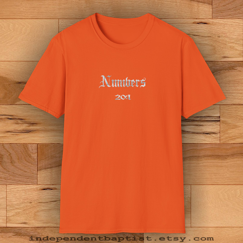 Mens Bible Verse T Shirt Numbers 20:1